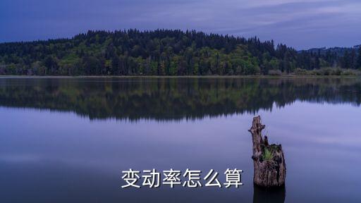 變動(dòng)率怎么算