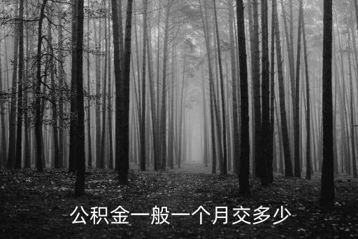 紹興公積金交多少