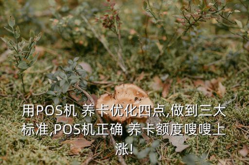 養(yǎng)卡需要多少pos,養(yǎng)卡手續(xù)費(fèi)一般多少?