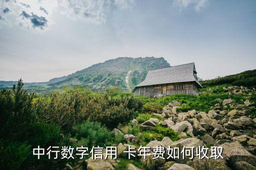 中國銀行愛家卡年費多少