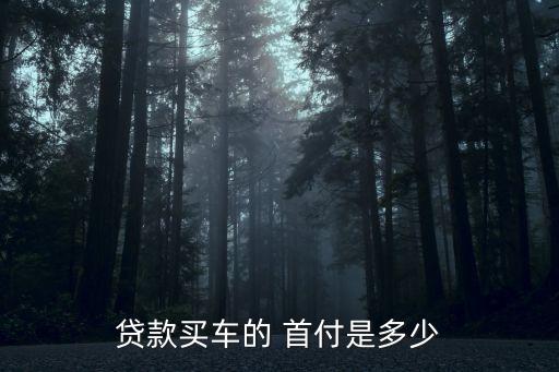 貸款買車的 首付是多少