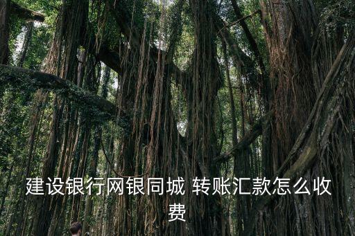 建設(shè)銀行同行加急轉(zhuǎn)賬手續(xù)費(fèi)是多少