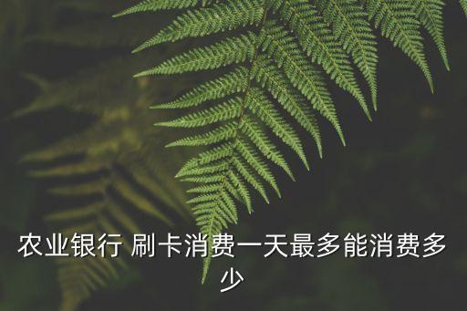 農(nóng)業(yè)銀行 刷卡消費(fèi)一天最多能消費(fèi)多少