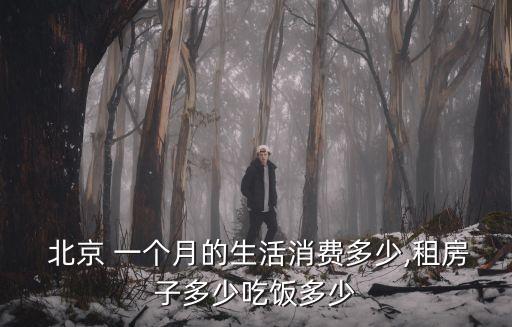  北京 一個月的生活消費多少,租房子多少吃飯多少