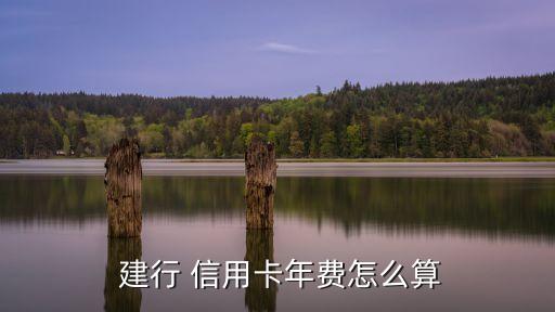  建行 信用卡年費怎么算