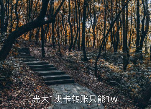 光大銀行手機(jī)銀行額度是多少,下載光大銀行手機(jī)銀行app最新版