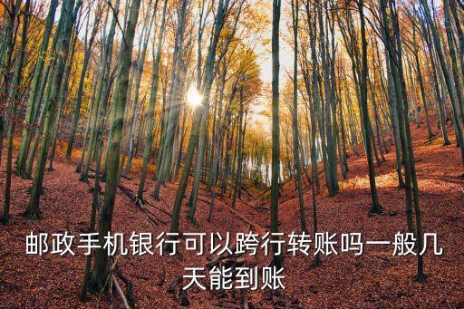  郵政手機銀行可以跨行轉(zhuǎn)賬嗎一般幾 天能到賬