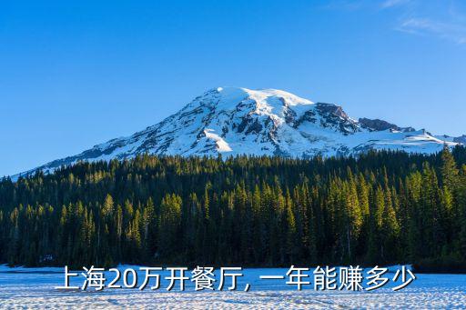 上海一年賺多少錢啊,上海金茂大廈一年賺多少錢