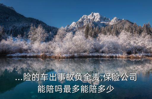 ...險的車出事故負全責,保險公司能陪嗎最多能陪多少