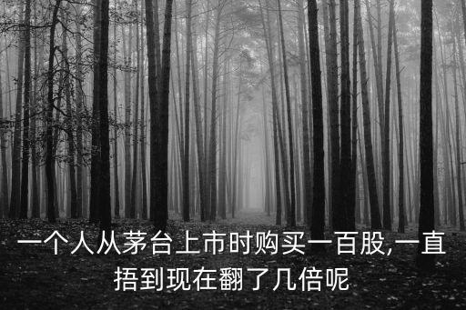 一個(gè)人從茅臺(tái)上市時(shí)購(gòu)買一百股,一直捂到現(xiàn)在翻了幾倍呢