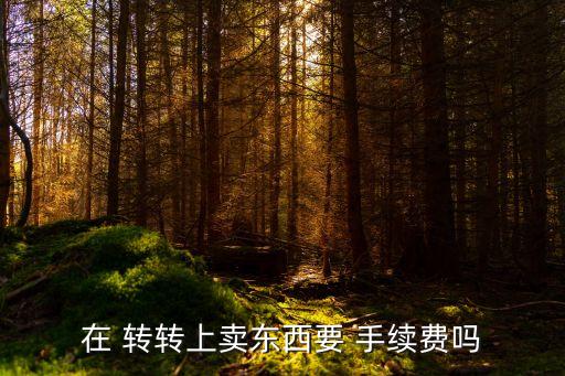 轉(zhuǎn)轉(zhuǎn)手續(xù)費(fèi)多少,轉(zhuǎn)轉(zhuǎn)平臺(tái)收取多少手續(xù)費(fèi)