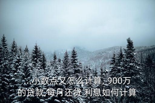 ...小數(shù)點又怎么計算, 900萬的貸款,每月還貸 利息如何計算