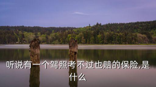 聽說有一個駕照考不過也賠的保險,是什么