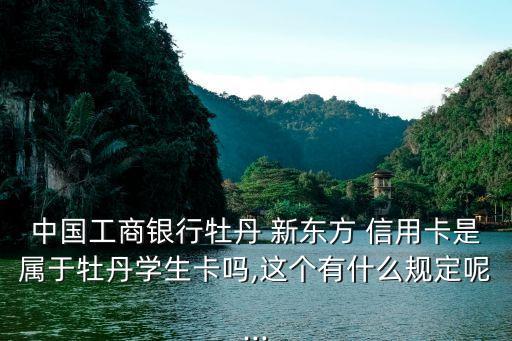 新東方信用卡額度多少,第一次辦信用卡額度是多少