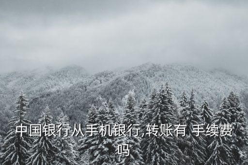 支付寶轉(zhuǎn)中行手續(xù)費(fèi)是多少錢,微信轉(zhuǎn)支付寶手續(xù)費(fèi)是多少