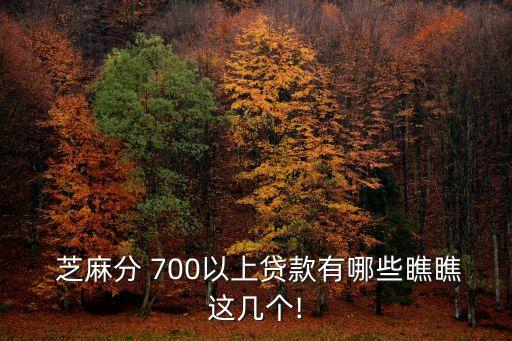  芝麻分 700以上貸款有哪些瞧瞧這幾個!