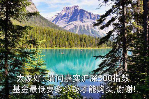 大家好: 請問嘉實滬深300指數(shù) 基金最低要多少錢才能購買,謝謝!