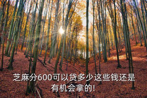 芝麻信用多少分能貸款多少錢(qián)