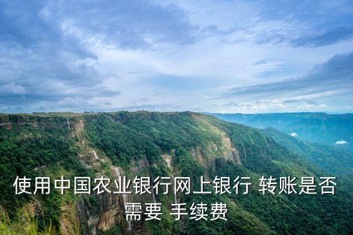 使用中國農(nóng)業(yè)銀行網(wǎng)上銀行 轉(zhuǎn)賬是否需要 手續(xù)費(fèi)