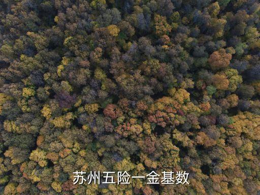  蘇州五險一金基數(shù)