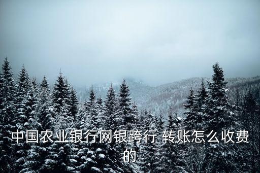 中國農(nóng)業(yè)銀行網(wǎng)銀跨行 轉(zhuǎn)賬怎么收費(fèi)的