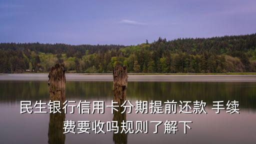 民生現(xiàn)金分期手續(xù)費多少錢,民生信用卡分期手續(xù)費是一次性扣除嗎