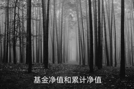 基金銀豐到期拿多少錢(qián)