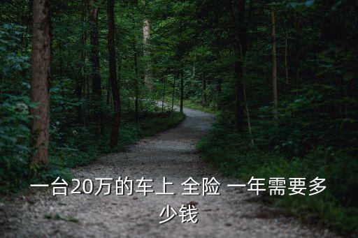 一臺(tái)20萬(wàn)的車上 全險(xiǎn) 一年需要多少錢
