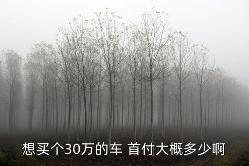 買三十萬的車首付多少錢,首付三十萬的車有哪些