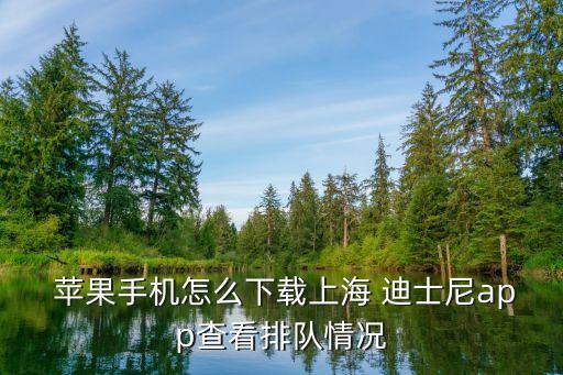  蘋果手機怎么下載上海 迪士尼app查看排隊情況