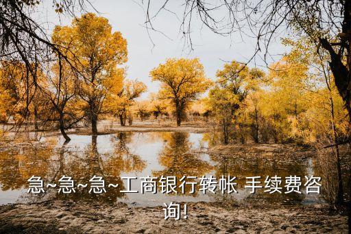 急~急~急~工商銀行轉(zhuǎn)帳 手續(xù)費(fèi)咨詢!