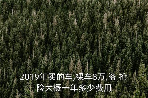買盜搶險要多少錢,賽600盜搶險多少錢