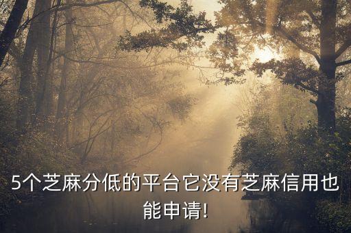 5個(gè)芝麻分低的平臺(tái)它沒有芝麻信用也能申請(qǐng)!