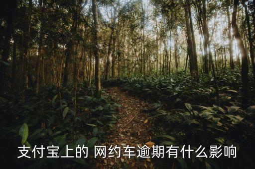 支付寶上的 網(wǎng)約車逾期有什么影響