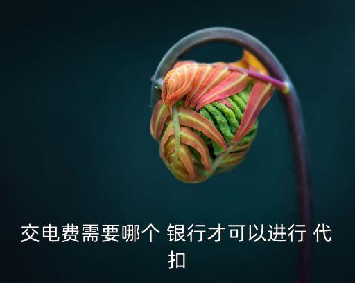 交電費(fèi)需要哪個(gè) 銀行才可以進(jìn)行 代扣
