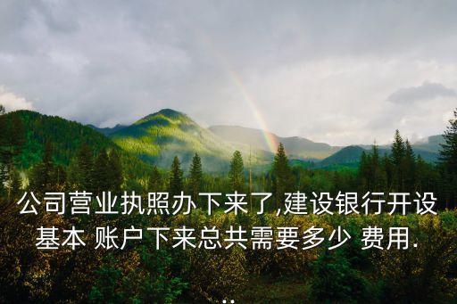一般賬戶費(fèi)用多少費(fèi)用標(biāo)準(zhǔn),人流費(fèi)用一般多少費(fèi)用標(biāo)準(zhǔn)