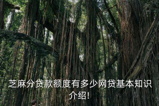  芝麻分貸款額度有多少網(wǎng)貸基本知識(shí)介紹!