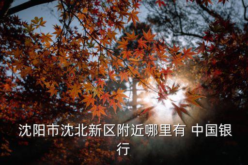  沈陽市沈北新區(qū)附近哪里有 中國銀行