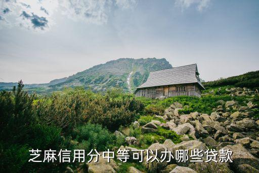 秒啦芝麻分要多少