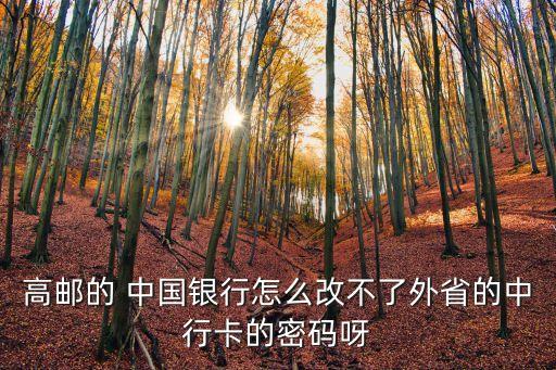 高郵的 中國銀行怎么改不了外省的中行卡的密碼呀