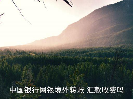 網(wǎng)銀往國外匯款手續(xù)費(fèi)是多少錢