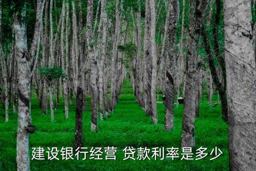 建設(shè)銀行經(jīng)營 貸款利率是多少
