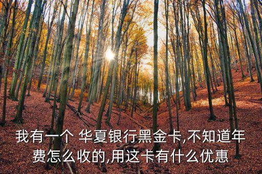 華夏銀行黑卡額度多少,中國最頂級的10種黑卡