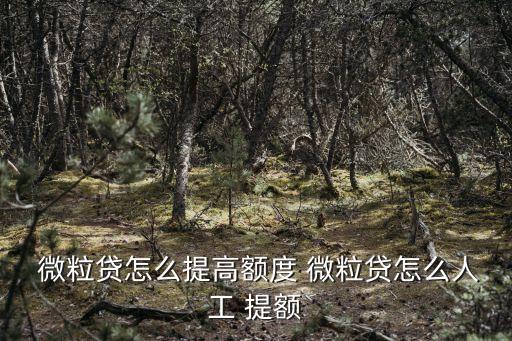  微粒貸怎么提高額度 微粒貸怎么人工 提額