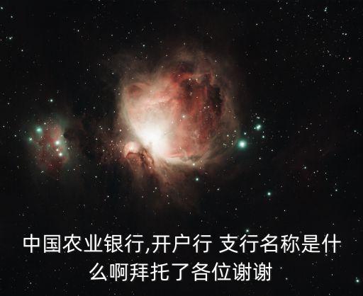 中國(guó)農(nóng)業(yè)銀行,開戶行 支行名稱是什么啊拜托了各位謝謝