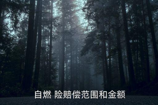 25萬的車自燃險賠多少