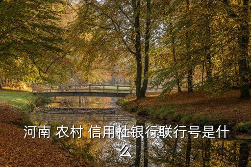 河南 農(nóng)村 信用社銀行聯(lián)行號是什么