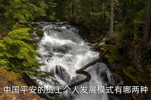 中國平安的員工個人發(fā)展模式有哪兩種