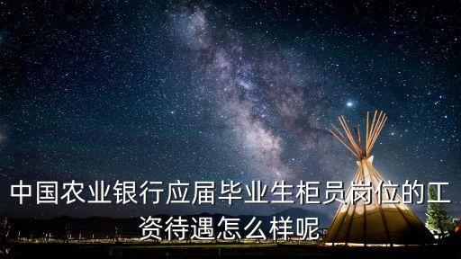 農(nóng)行個月工資多少錢啊,農(nóng)行副行長工資一般有多少