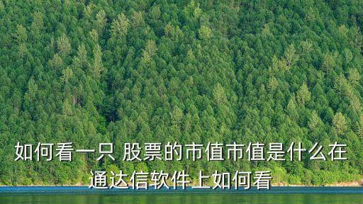如何看一只 股票的市值市值是什么在通達信軟件上如何看
